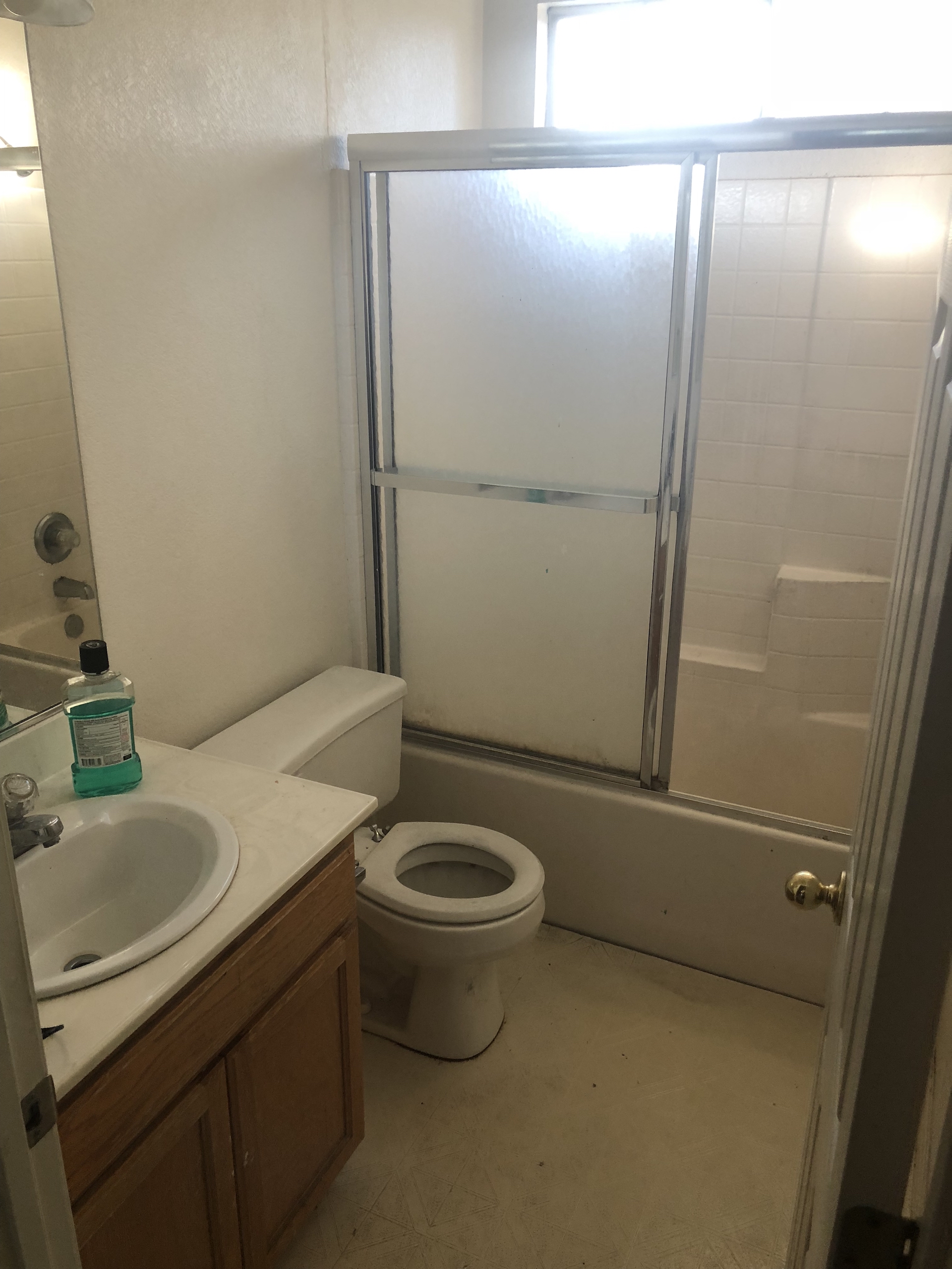 Hall Bathroom - Before