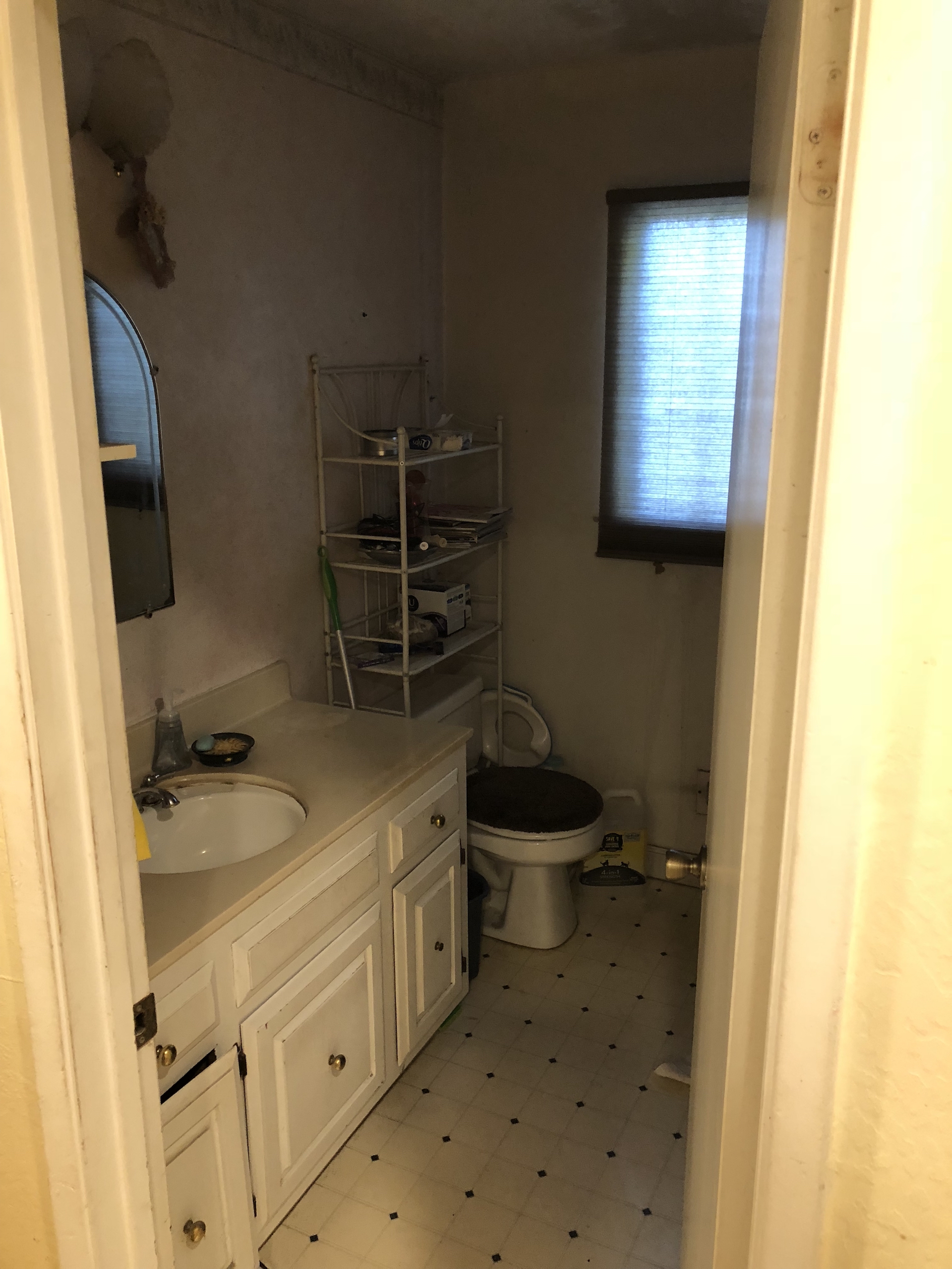 Hall Bathroom - Before