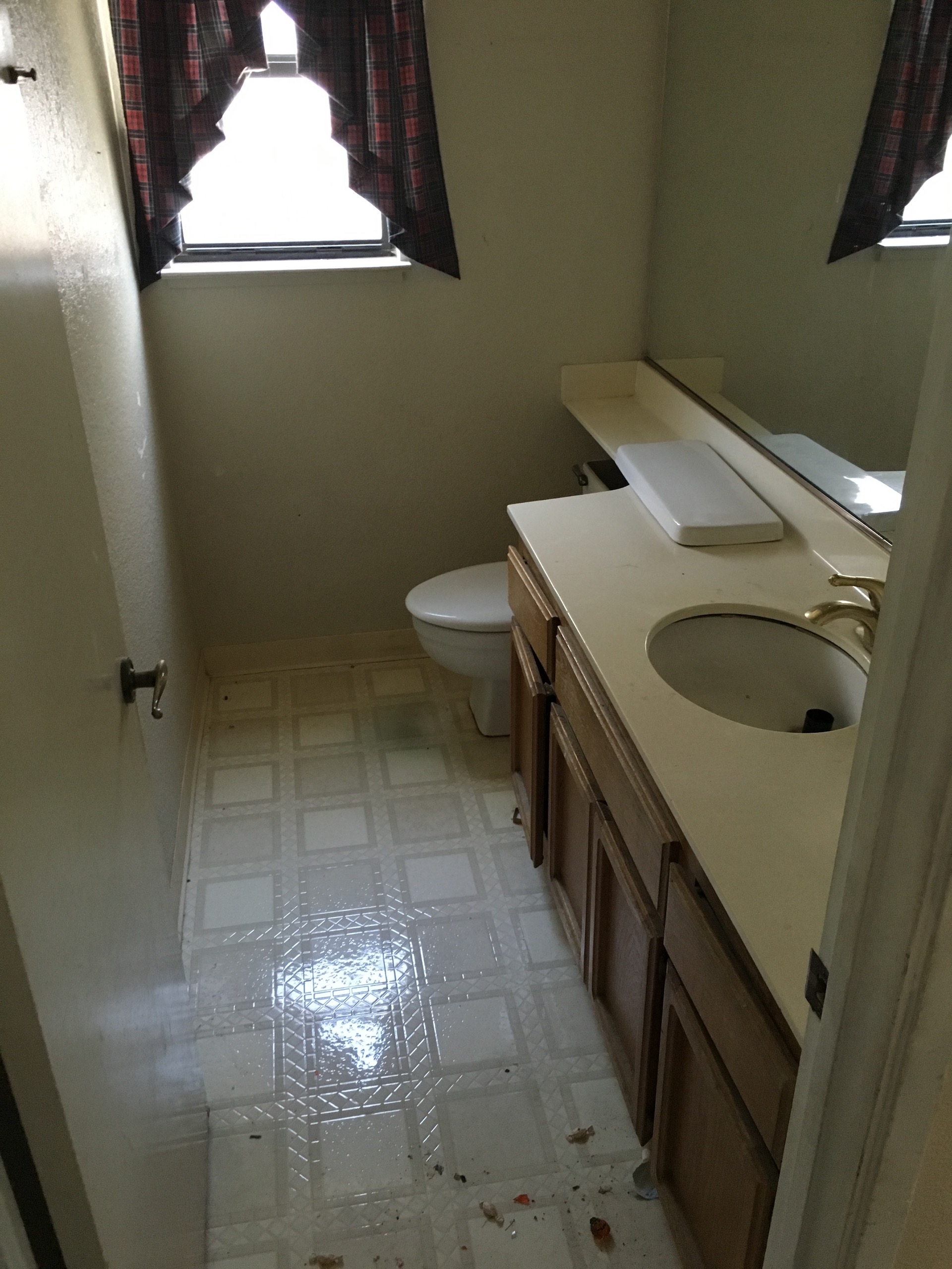 Hall Bathroom - Before