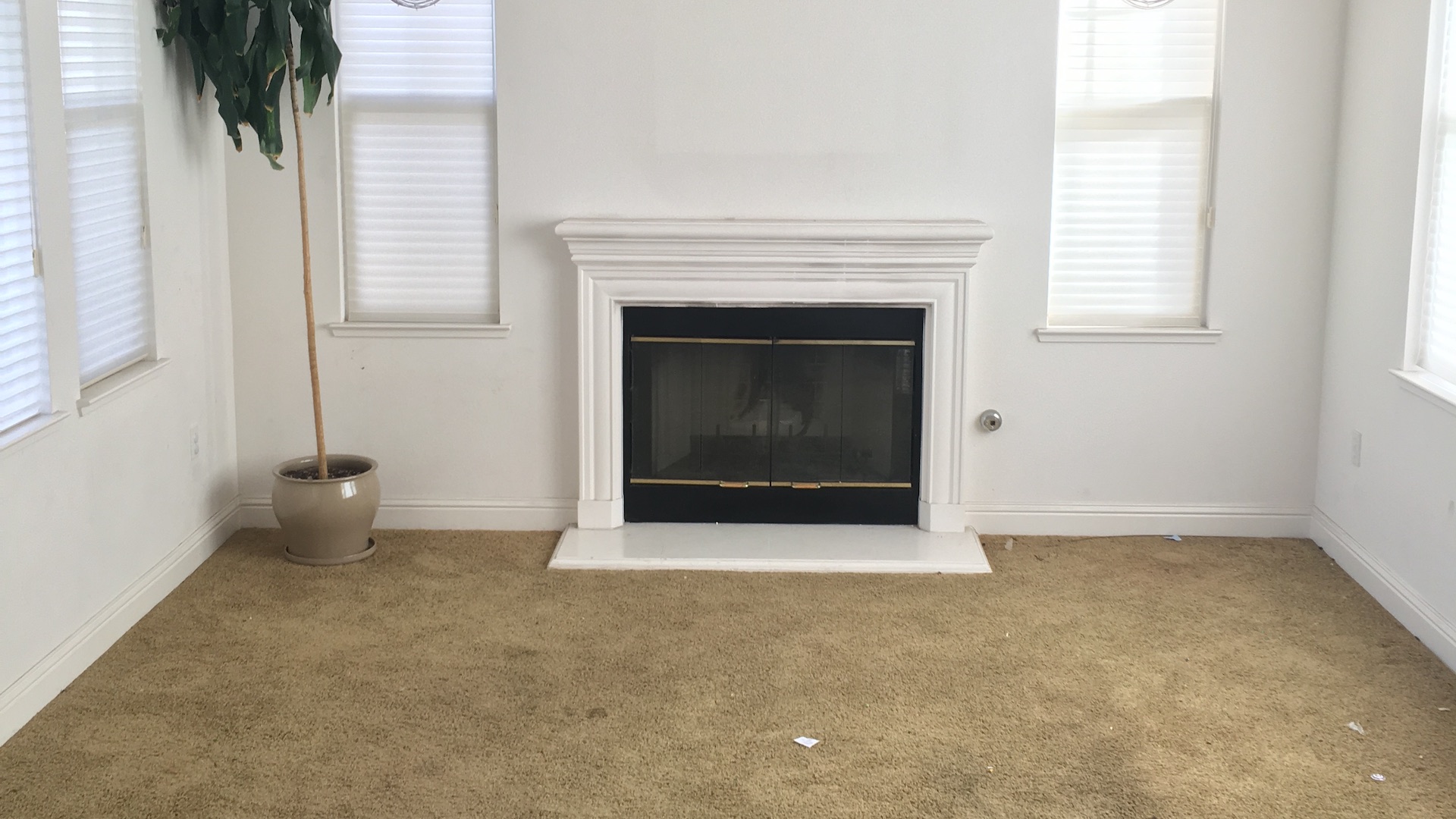 Living Room - Before