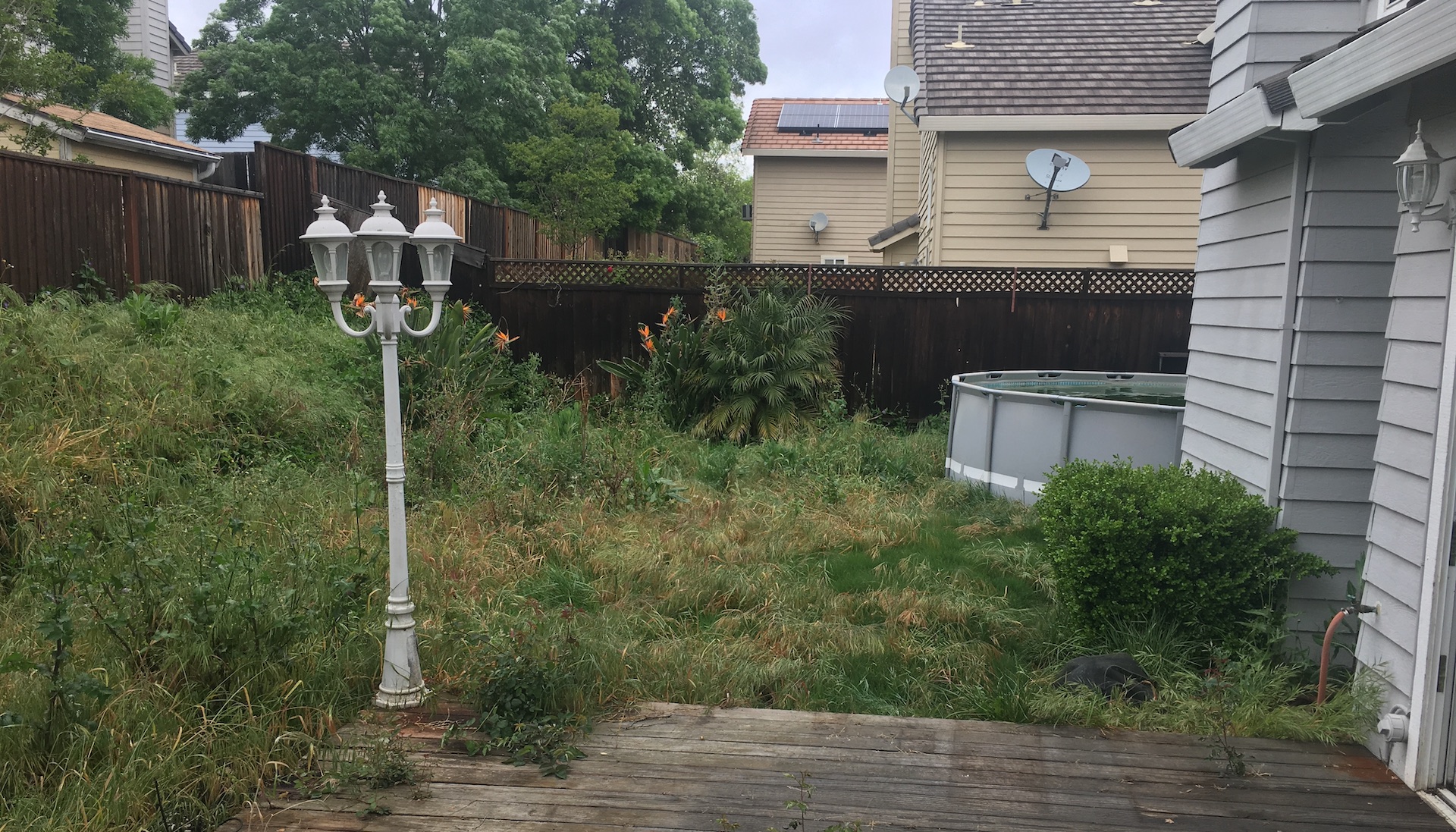 Backyard - Before