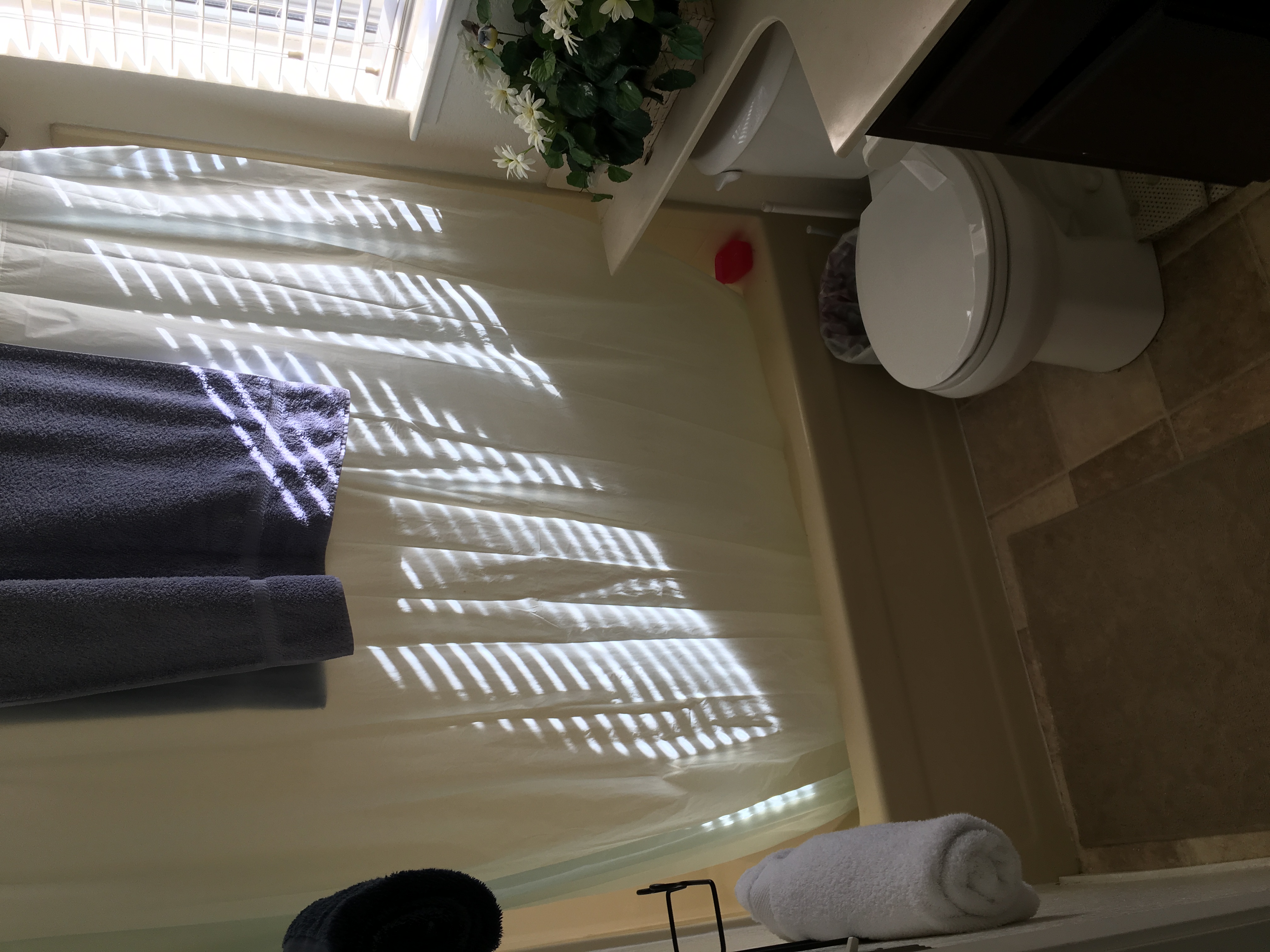 Hall Bathroom - Before