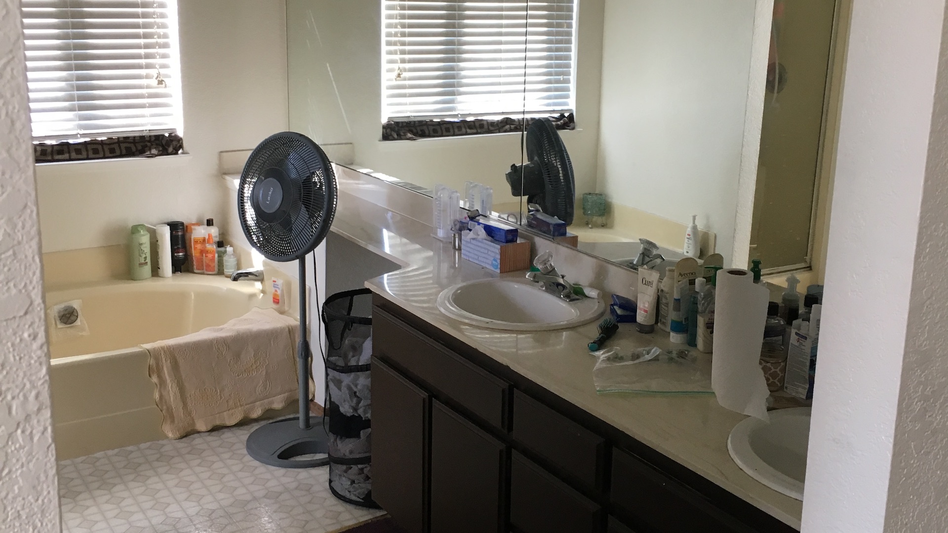 Master Bathroom - Before