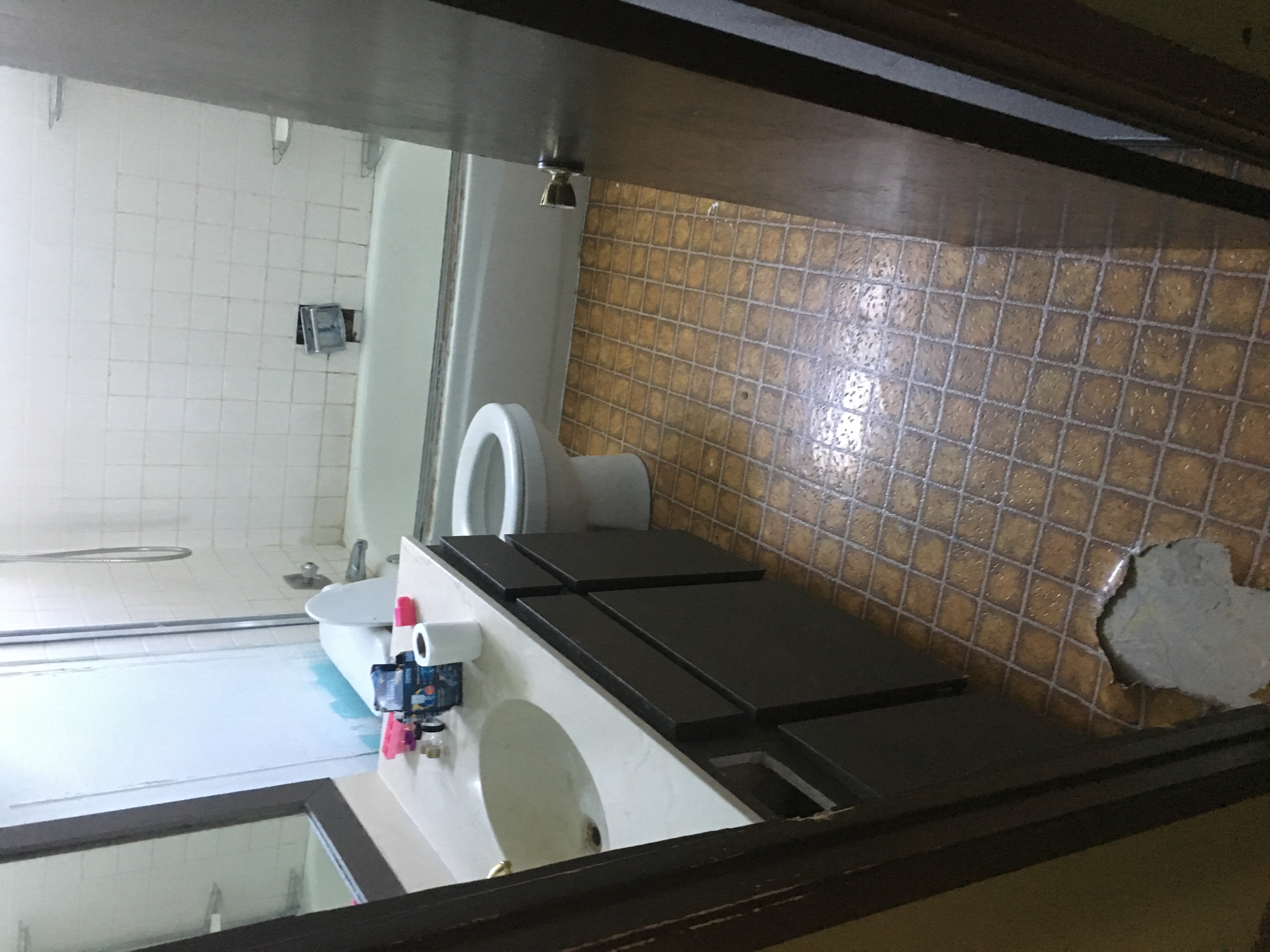 Hall Bathroom - Before