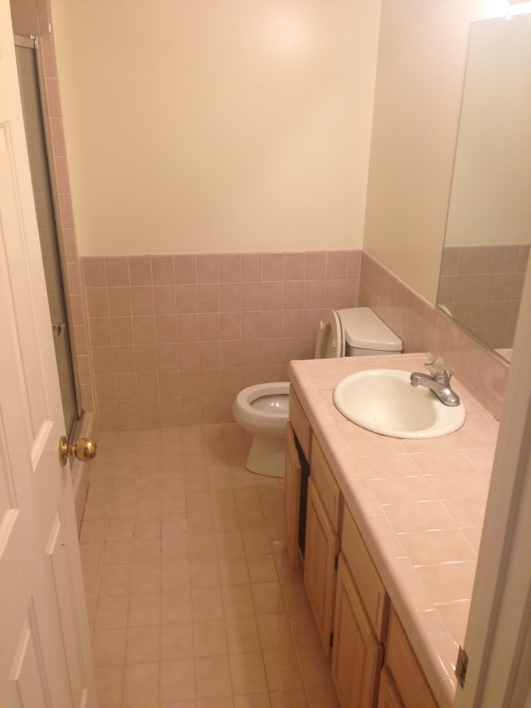 Hall Bathroom - Before